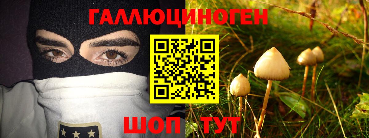 Галлюциногенные грибы прущие грибы  Вход с VPN  Киров 
