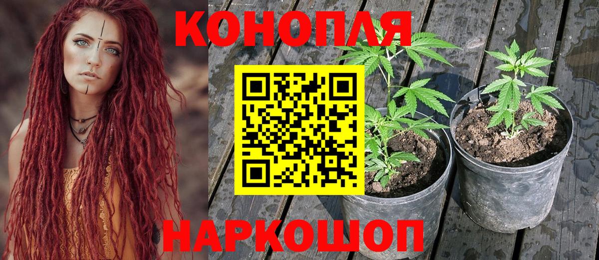 Киров  Бошки марихуана White Widow  Бошки марихуана Bruce Banner  Бошки марихуана тримм  Вход с VPN 